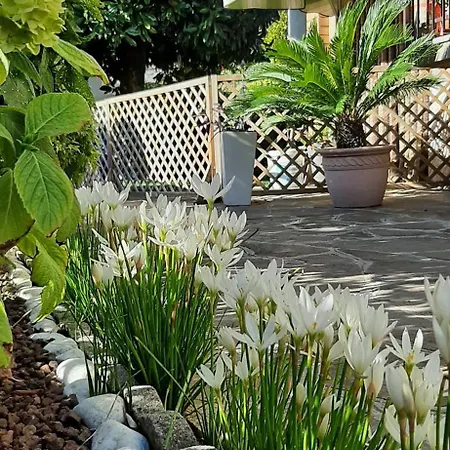 Apartment Casa Fiore Di Magnolia Castelnuovo del Garda